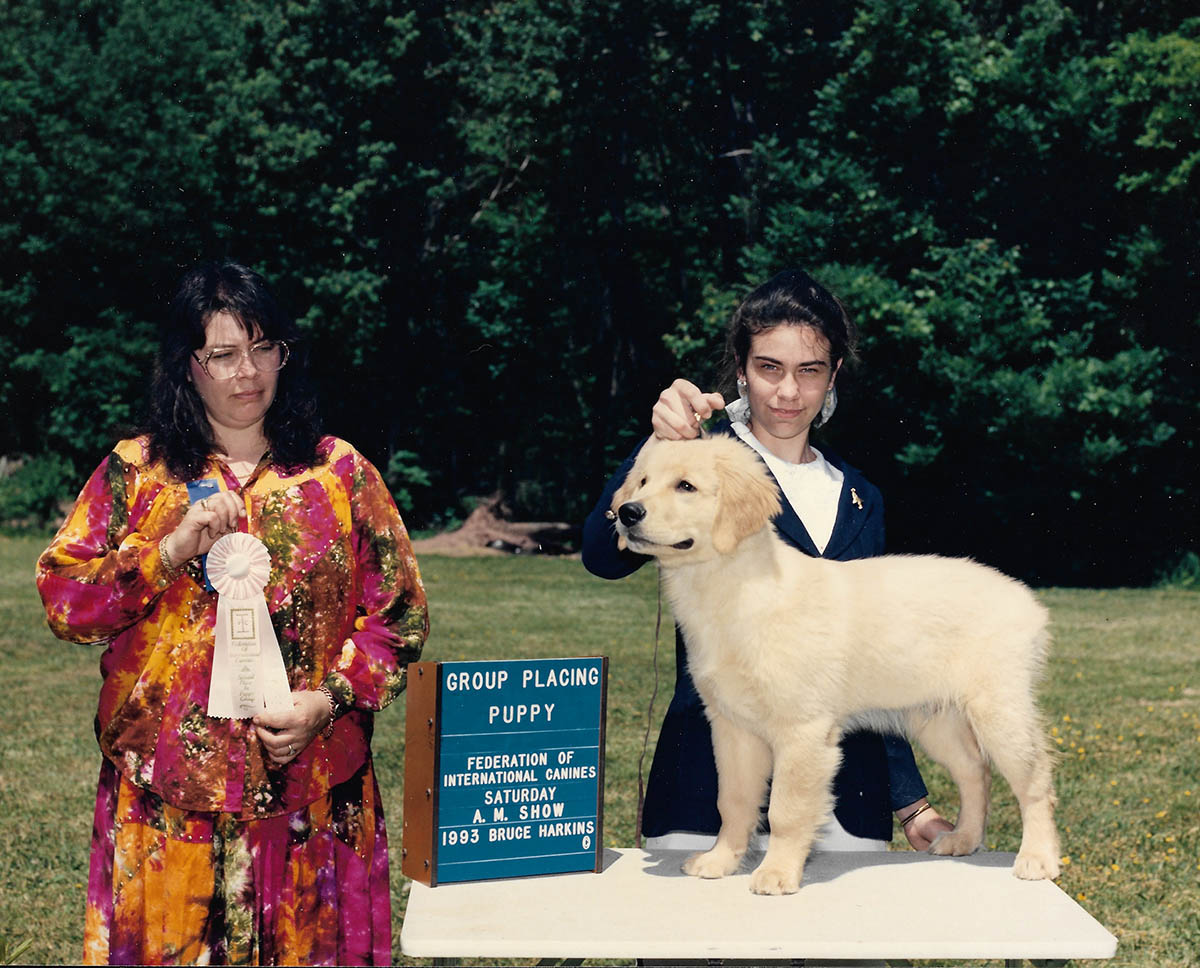 charm city golden retrievers alex
