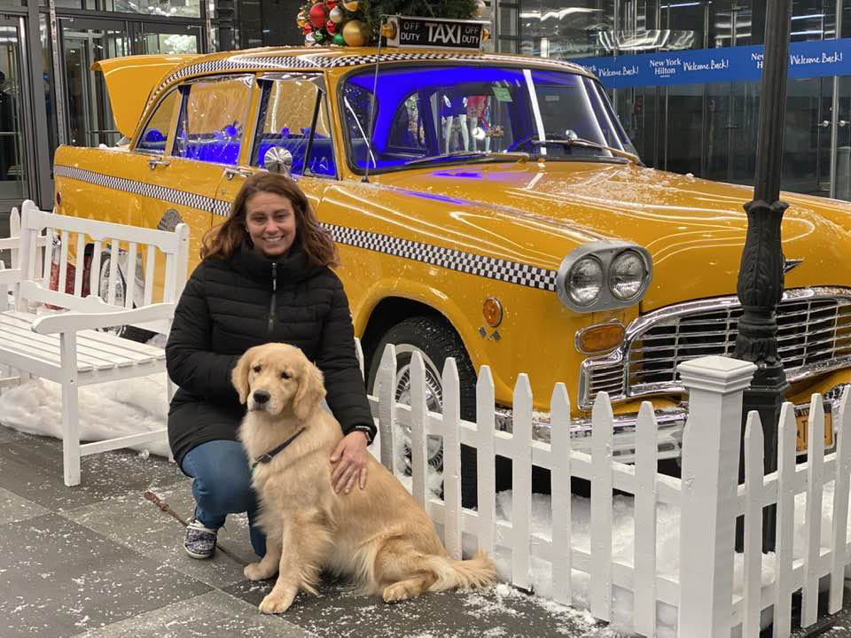 charm city golden retrievers amy and gia
