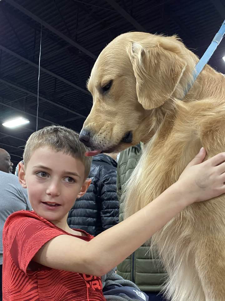 charm city golden retrievers ready kissing little boy