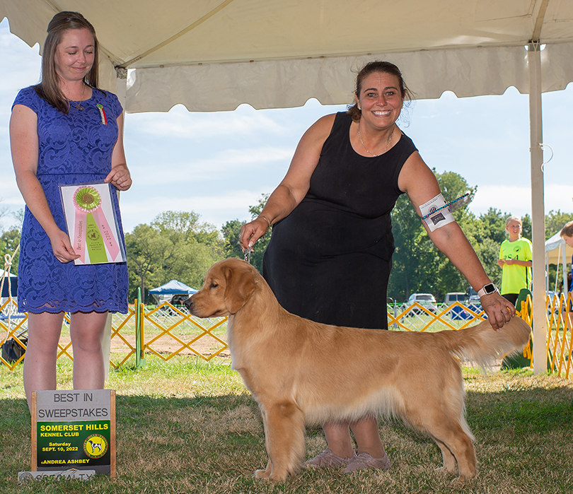 CH Charm City's Marvelous Miss Maisel amy and maisey
