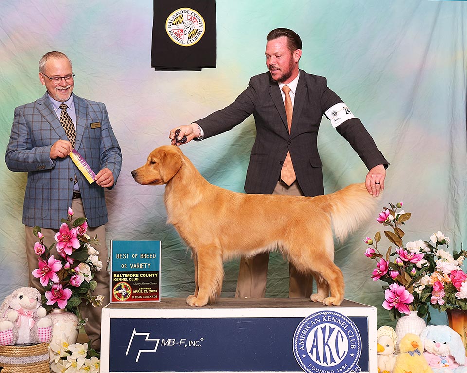 CH Charm City's Marvelous Miss Maisel wins bob at the baltimore KC