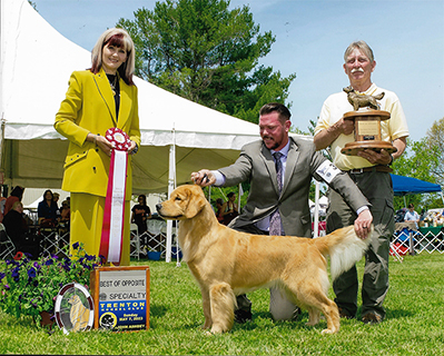 maisey best of opposite