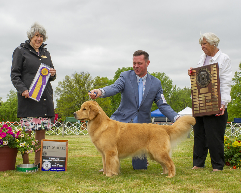 CHB Charm City's Marvelous Miss Maisel, Maisey lenape grc specialty bob 2024