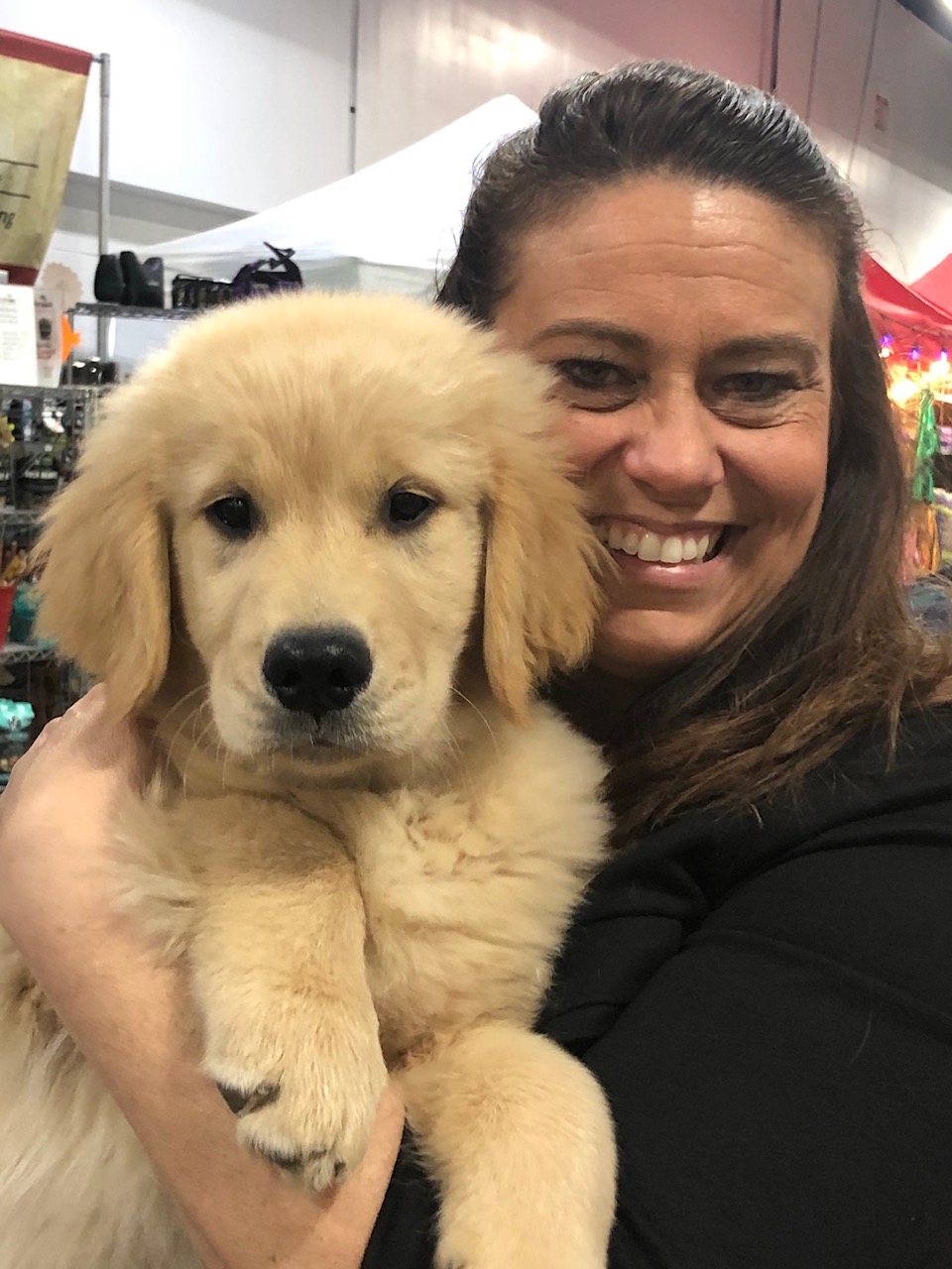 puppy at charm city goldens