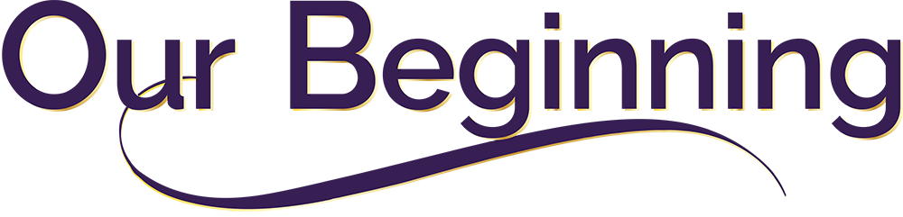 our beginning at charm city golden retrievers